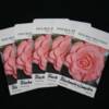 Begonia double seed - Image 2