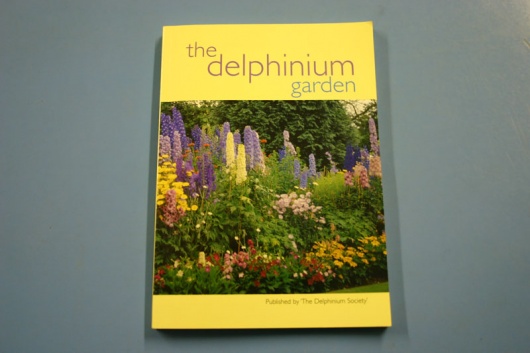 The delphinium garden