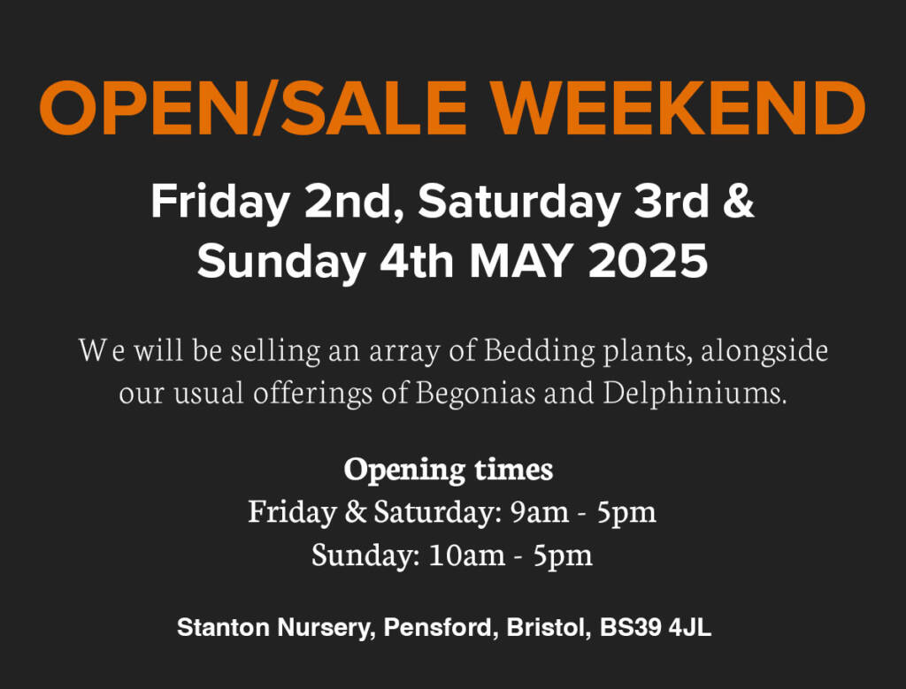 Open/Sale Weekend 2025